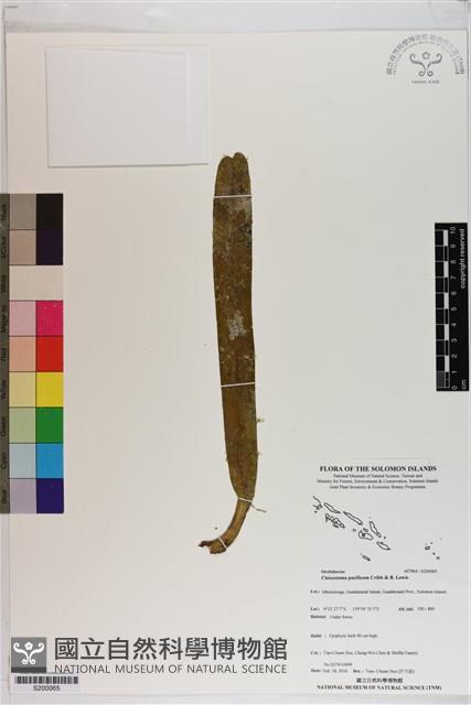 登錄號:S200065藏品圖，第1張