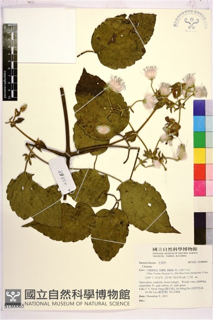 登錄號:S180065藏品圖，第1張