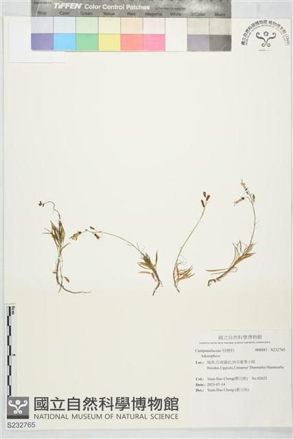 登錄號:S232765藏品圖，第1張