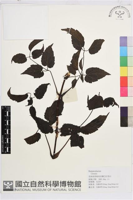 登錄號:S171765藏品圖，第1張