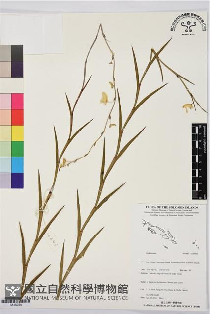 登錄號:S195765藏品圖，第1張