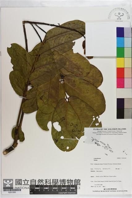 登錄號:S201265藏品圖，第1張