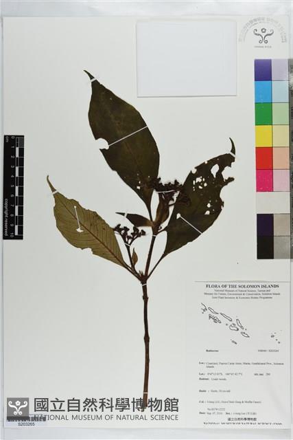 登錄號:S203265藏品圖，第1張