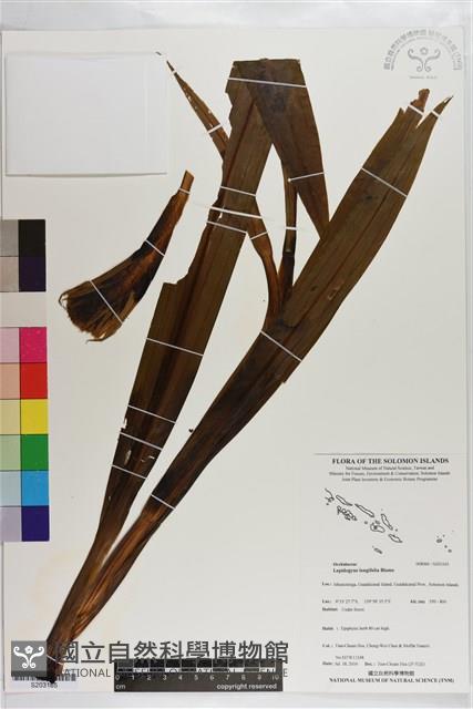 登錄號:S203165藏品圖，第1張