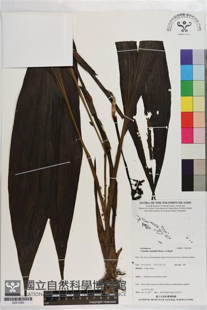 登錄號:S201365藏品圖，第1張