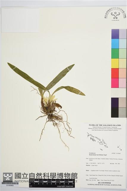 登錄號:S195865藏品圖，第1張