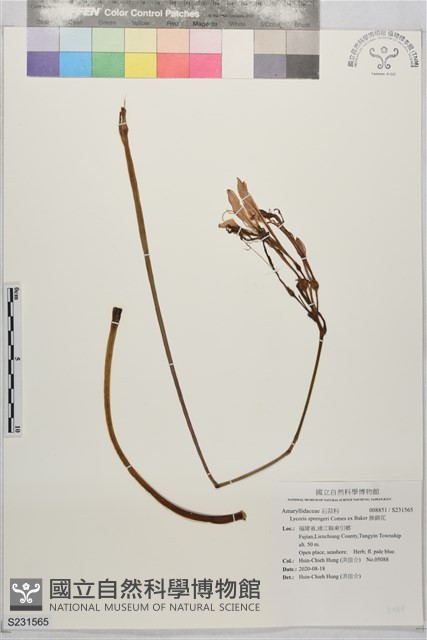 換錦花藏品圖，第1張
