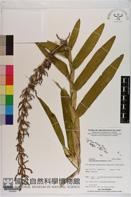 登錄號:S200045藏品圖，第1張