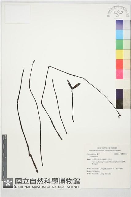 登錄號:S233045藏品圖，第1張