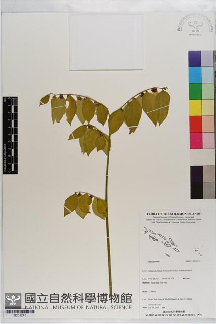 登錄號:S201245藏品圖，第1張