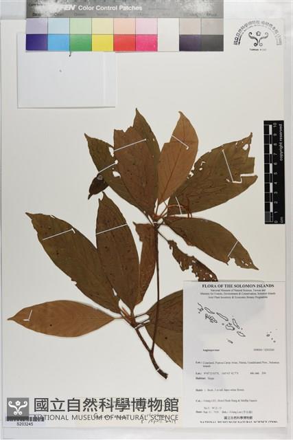 登錄號:S203245藏品圖，第1張