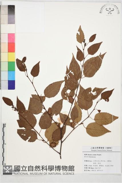 登錄號:S197245藏品圖，第1張