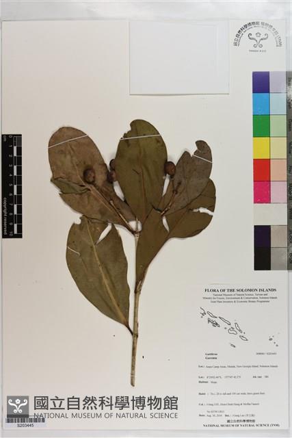 登錄號:S203445藏品圖，第1張