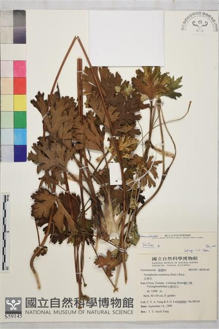 登錄號:S059145藏品圖，第1張