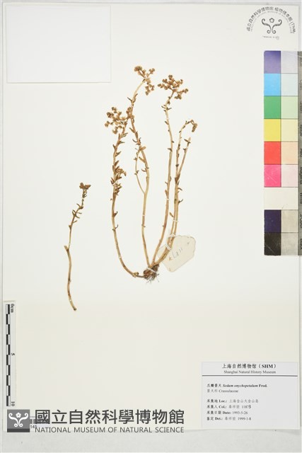 登錄號:S197145藏品圖，第1張