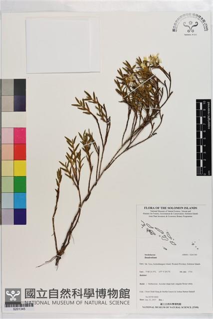 登錄號:S201345藏品圖，第1張