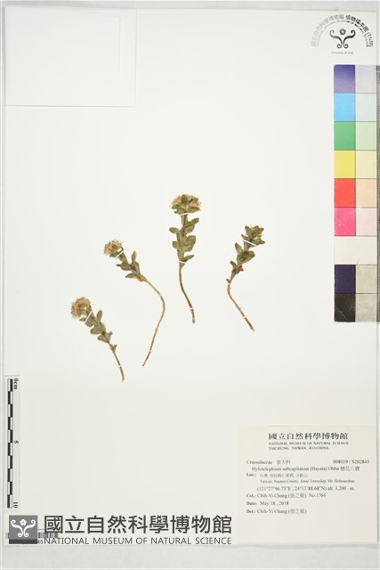 穗花八寶藏品圖，第1張