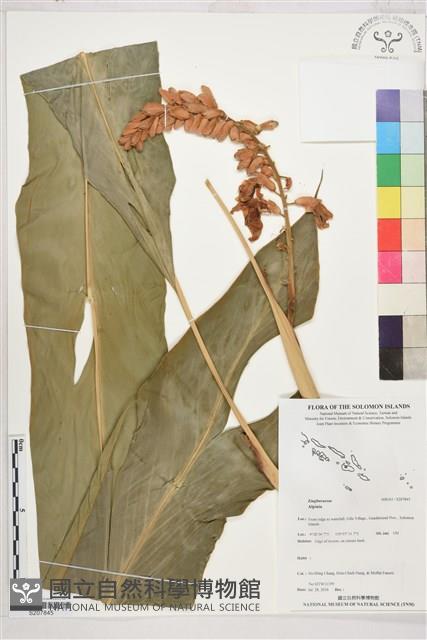 登錄號:S207845藏品圖，第1張