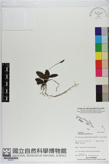 登錄號:S200075藏品圖，第1張