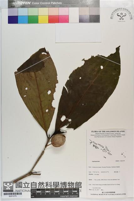 登錄號:S201275藏品圖，第1張