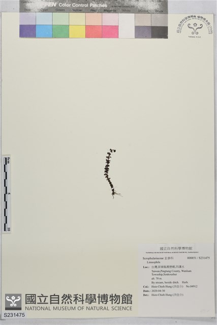 登錄號:S231475藏品圖，第1張