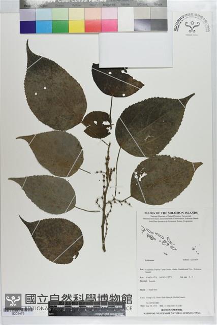 登錄號:S203475藏品圖，第1張
