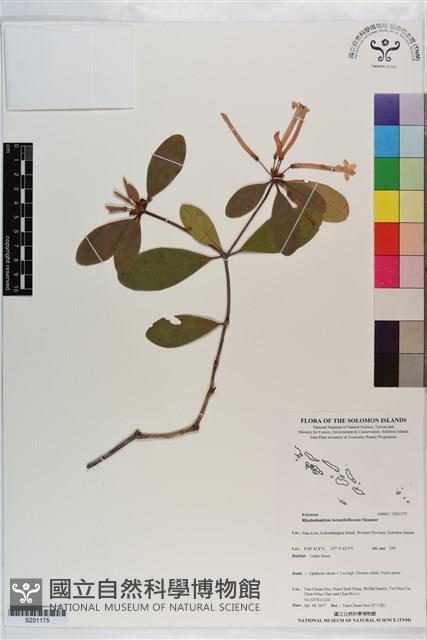 登錄號:S201175藏品圖，第1張