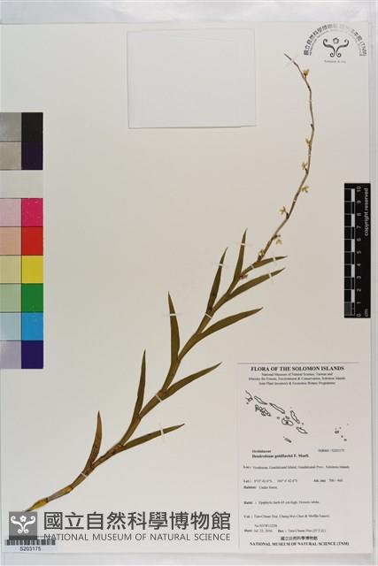 登錄號:S203175藏品圖，第1張