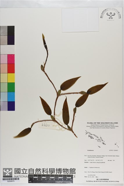 登錄號:S200875藏品圖，第1張