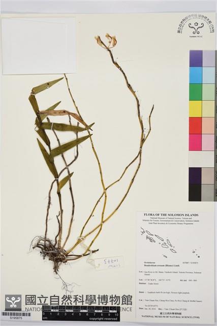 登錄號:S195875藏品圖，第1張