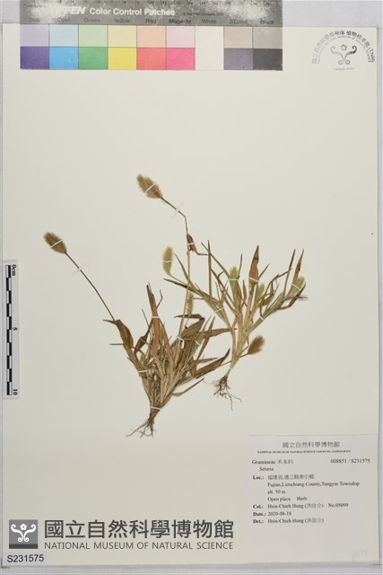 登錄號:S231575藏品圖，第1張