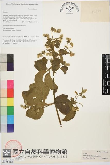 毛木通藏品圖，第1張