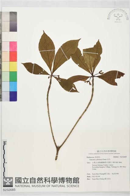 貝木藏品圖，第1張