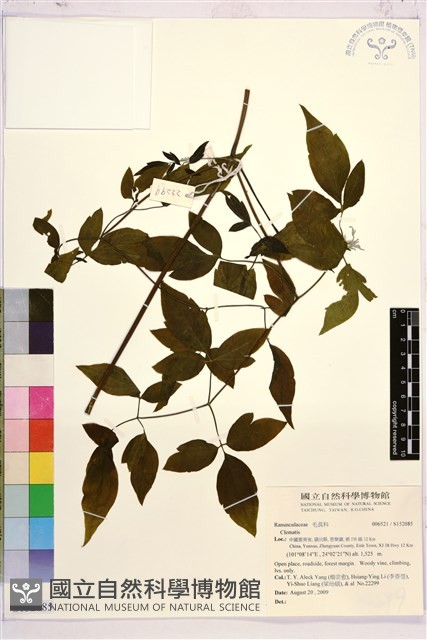 登錄號:S152085藏品圖，第1張