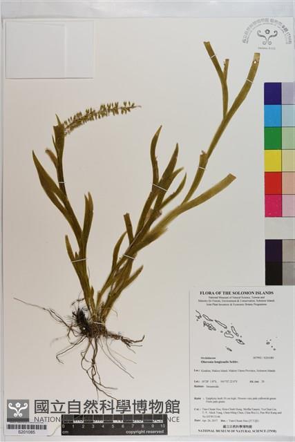 登錄號:S201085藏品圖，第1張