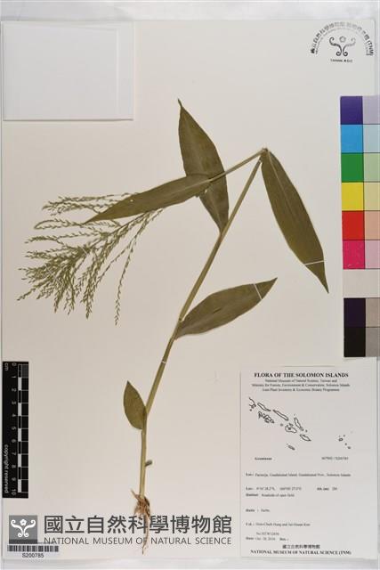 登錄號:S200785藏品圖，第1張