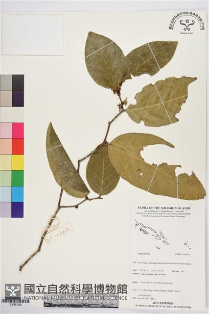 登錄號:S195785藏品圖，第1張