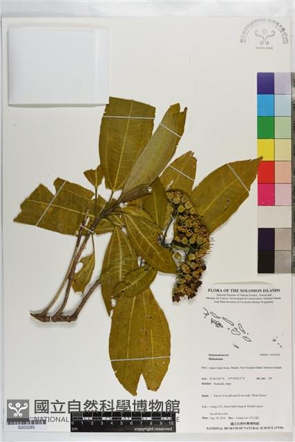 登錄號:S203285藏品圖，第1張