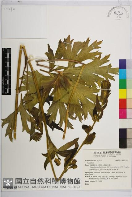 登錄號:S152185藏品圖，第1張