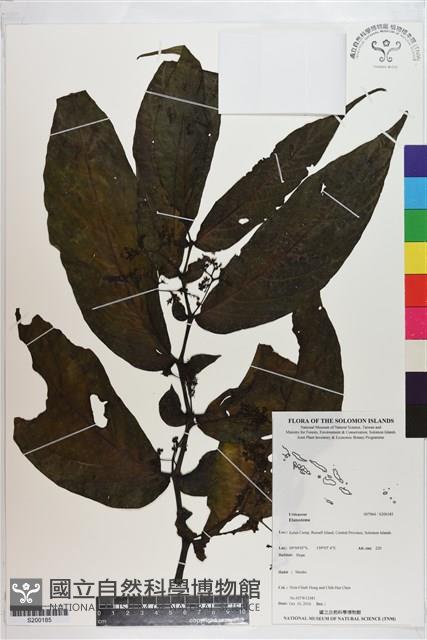 登錄號:S200185藏品圖，第1張