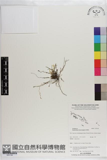 登錄號:S201185藏品圖，第1張