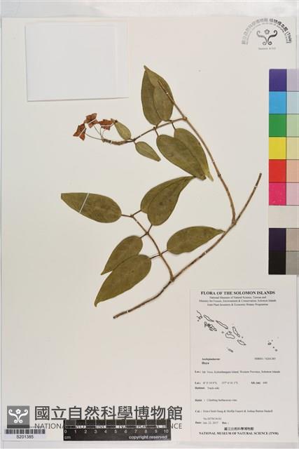 登錄號:S201385藏品圖，第1張