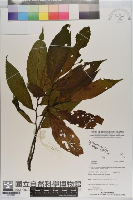 登錄號:S200885藏品圖，第1張