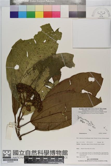 登錄號:S200985藏品圖，第1張