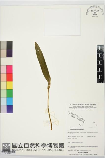 登錄號:S195985藏品圖，第1張