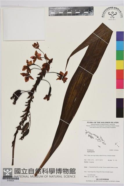 登錄號:S195624藏品圖，第1張