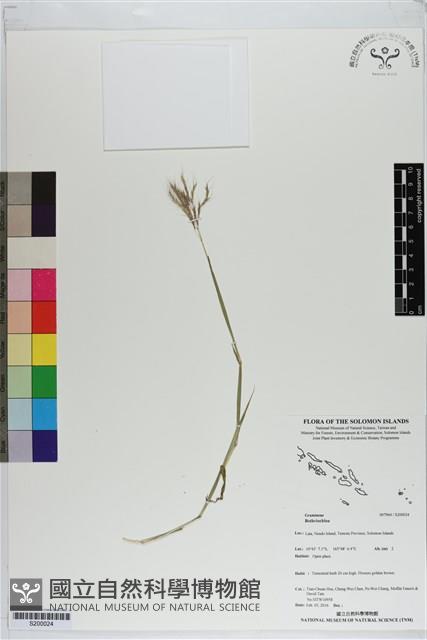 登錄號:S200024藏品圖，第1張