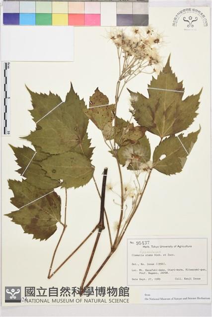 登錄號:S128024藏品圖，第1張