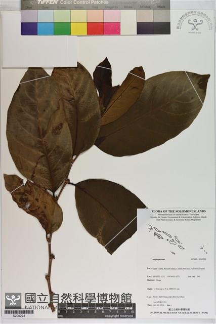 登錄號:S200224藏品圖，第1張