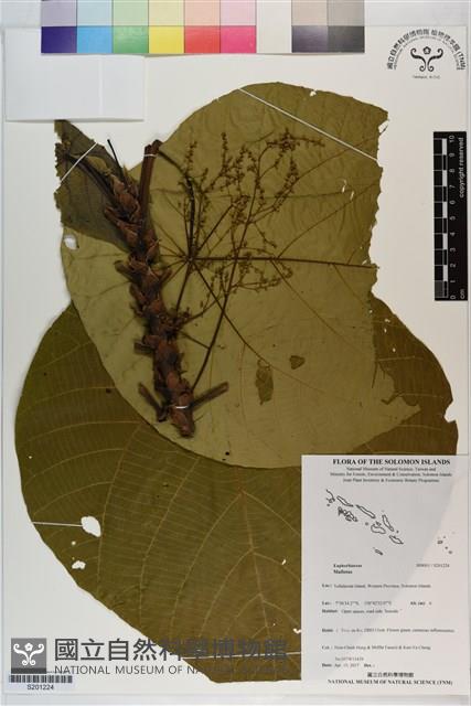 登錄號:S201224藏品圖，第1張